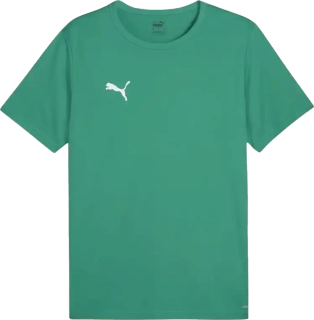 Dětský fotbalový dres Puma teamRISE Matchday zelený