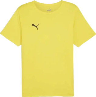 Pánský fotbalový dres Puma teamRISE Matchday žlutý