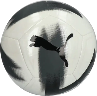 Fotbalový míč Puma Cage velikost 5 bílo-černý