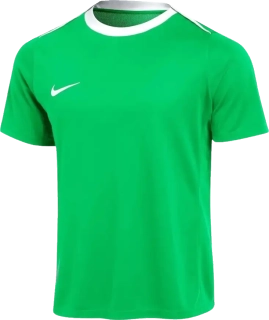 Pánské fotbalové tričko Nike Dri-FIT Academy Pro 24 zelené