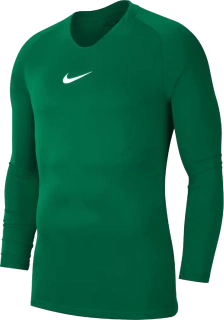 Pánské termo tričko Nike Dry Park First Layer LS zelené