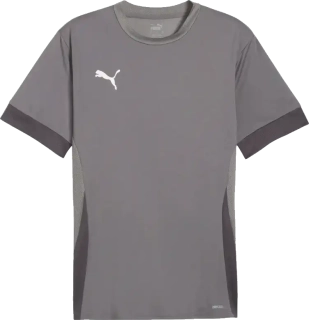 Pánský fotbalový dres Puma teamGOAL Matchday šedý