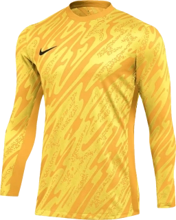 Pánský brankářský dres Nike Dri-FIT Gardien V GK žlutý