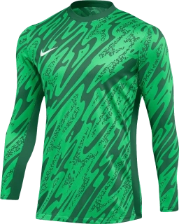 Pánský brankářský dres Nike Dri-FIT Gardien V GK zelený
