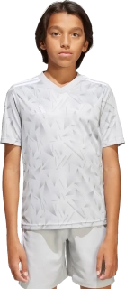 Dětský fotbalový dres Adidas Team Icon 25 šedý