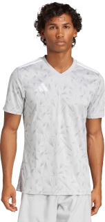 Pánský fotbalový dres Adidas Team Icon 25 šedý