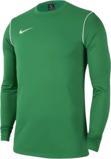 Pánské tričko s dlouhým rukávem Nike Park 20 zelené