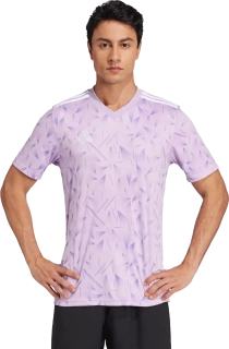 Pánský fotbalový dres Adidas Team Icon 25 fialový