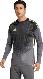 Pánský brankářský dres Adidas Tiro 25 Competition GK DR černý