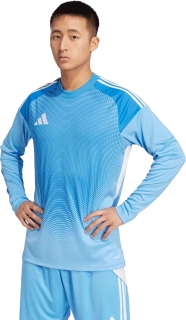 Pánský brankářský dres Adidas Tiro 25 Competition GK DR modrý