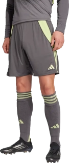 Pánské fotbalové šortky Adidas Tiro 24 Training šedé2