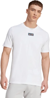 Pánské tričko Adidas FC Bayern 25/26 Seasonal Graphic Tee bílé