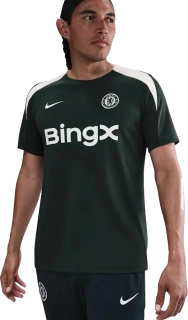 Pánské tréninkové tričko Nike Chelsea FC 25/26 Strike zelené