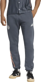Pánské sportovní kalhoty Adidas FC Bayern 25/26 US Pack šedé