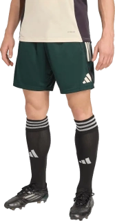 Pánské tréninkové šortky Adidas Juventus FC 25/26 Competition zelené