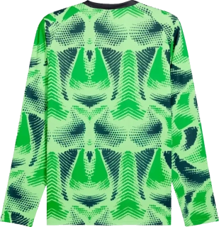 Pánský brankářský dres s dlouhým rukávem Puma teamTarget zelený