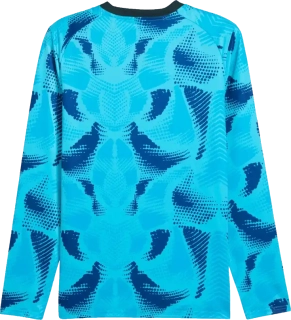 Pánský brankářský dres s dlouhým rukávem Puma teamTarget modrý