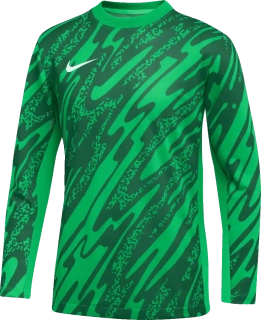 Dětský brankářský dres Nike Gardien V LS GK zelený