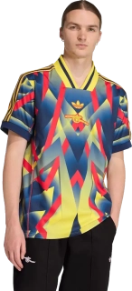 Pánský speciální dres Adidas Arsenal FC 25/26 LFSTLR vícebarevný