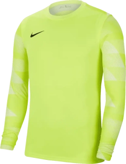 Pánský brankářský dres Nike Dry Park IV LS GK žlutý