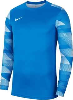 Pánský brankářský dres Nike Dry Park IV LS GK modrý