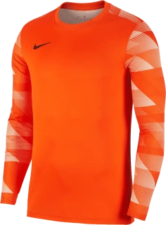 Pánský brankářský dres Nike Dry Park IV LS GK oranžový