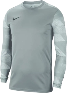 Dětský brankářský dres Nike Dry Park IV LS GK šedý