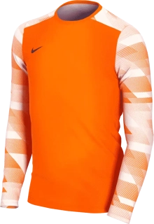 Dětský brankářský dres Nike Dry Park IV LS GK oranžový