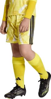 Dětské brankářské šortky Adidas Tiro 26 Competition GK žluté