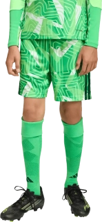 Dětské brankářské šortky Adidas Tiro 26 Competition GK zelené