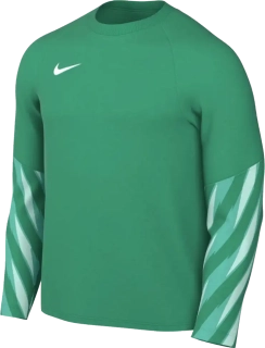 Pánský brankářský dres s dlouhým rukávem Nike Dri-FIT V zelený