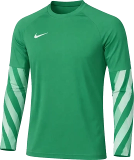 Dětský brankářský dres s dlouhým rukávem Nike Dri-FIT V zelený