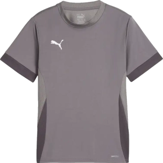 Dětský fotbalový dres Puma teamGOAL Matchday šedý