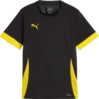 Dětský fotbalový dres Puma teamGOAL Matchday černý3