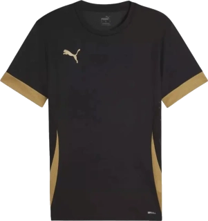 Dětský fotbalový dres Puma teamGOAL Matchday černý2