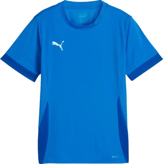 Dětský fotbalový dres Puma teamGOAL Matchday modrý