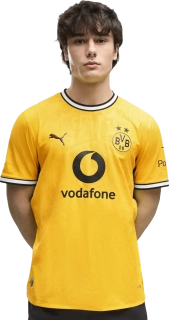 Pánský domácí zápasový dres Puma Borussia Dortmund 26/27 žlutý