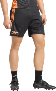 Pánské tréninkové šortky Adidas Arsenal FC 26/27 černé