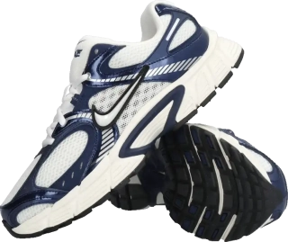Pánská lifestylová obuv Nike V5 RNR bílo-modrá