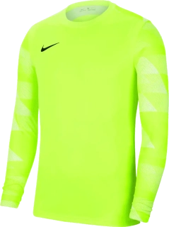 Dětský brankářský dres Nike Dry Park IV LS GK zelený